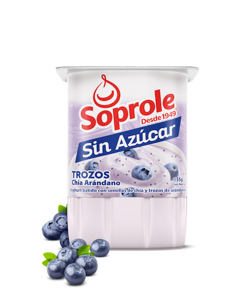 Yoghurt Sin Azucar Trozos Chia Arandano 155 gr